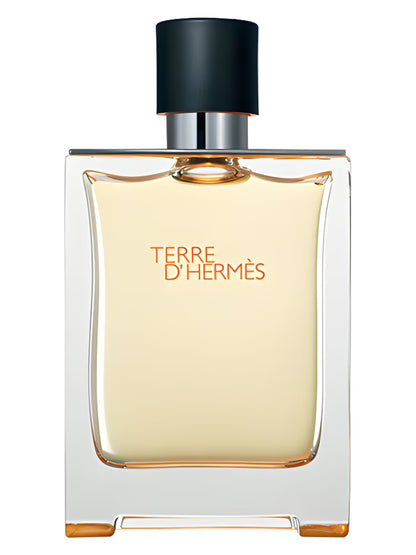 INSPIRED BY TERRE D'HERMES