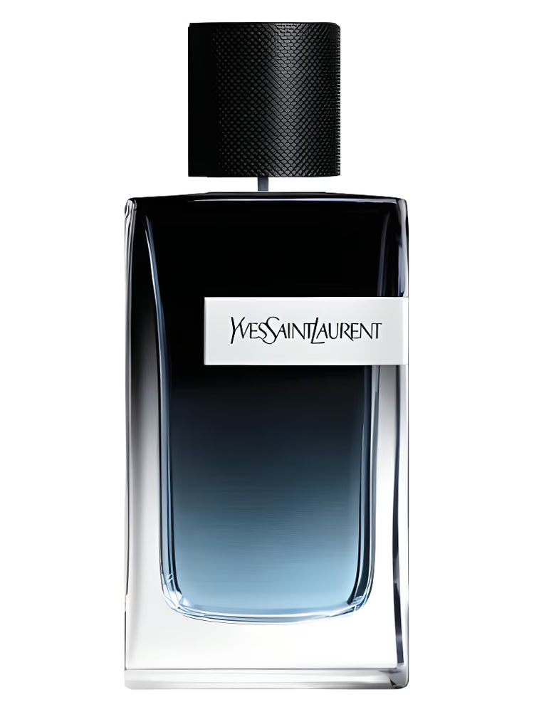 INSPIRED BY YSL Y
