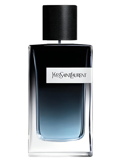 INSPIRED BY YSL Y